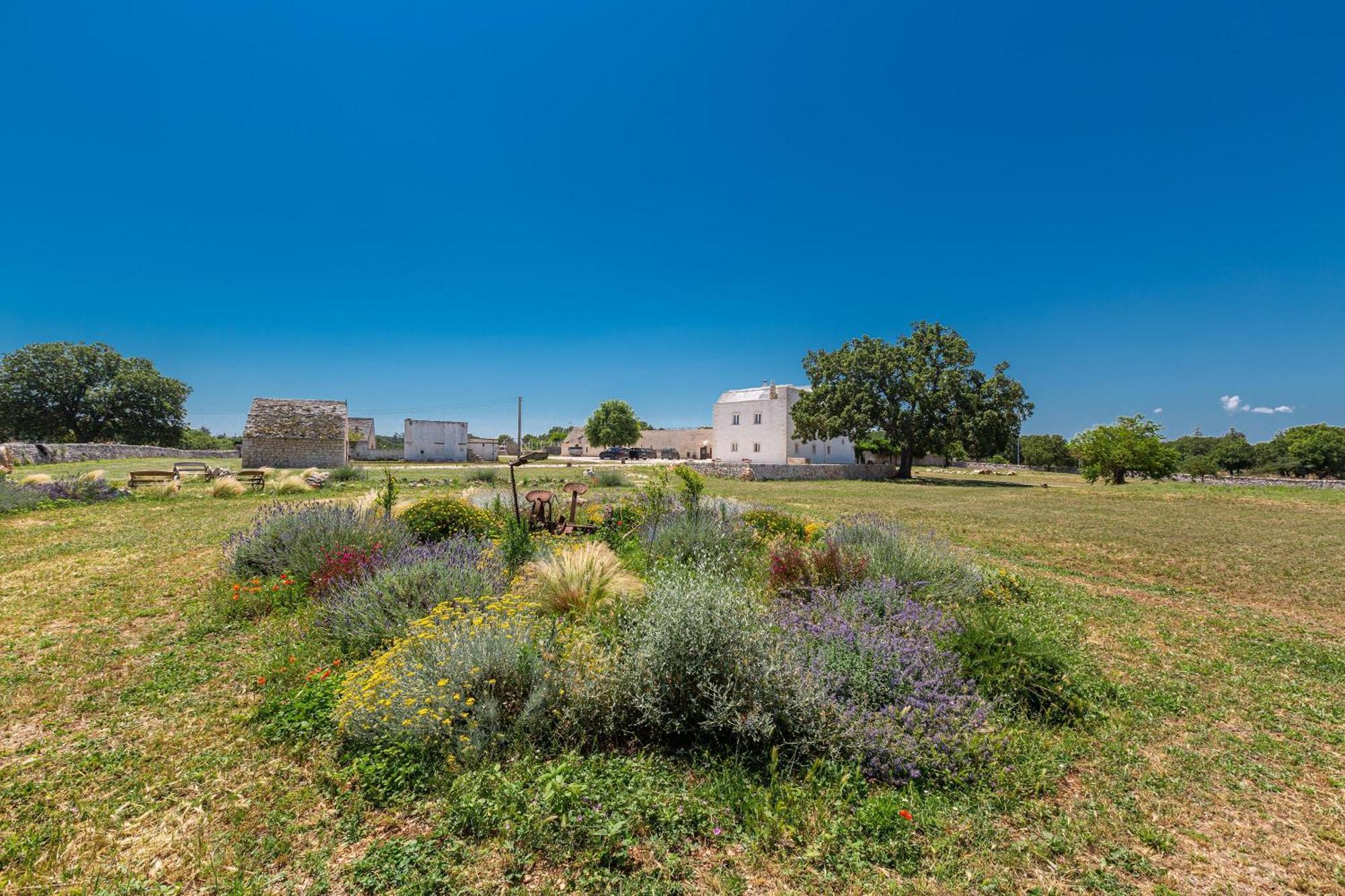 Masseria Nicola Casavola Martina Franca Dış mekan fotoğraf